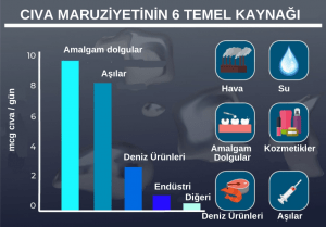 Sağlığınızı Tehdit Eden 5 Ağır Metal: Cıva, Kurşun, Alüminyum, Kadminyum, Arsenik