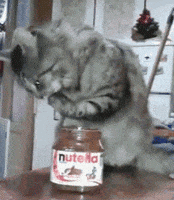 nutella GIF