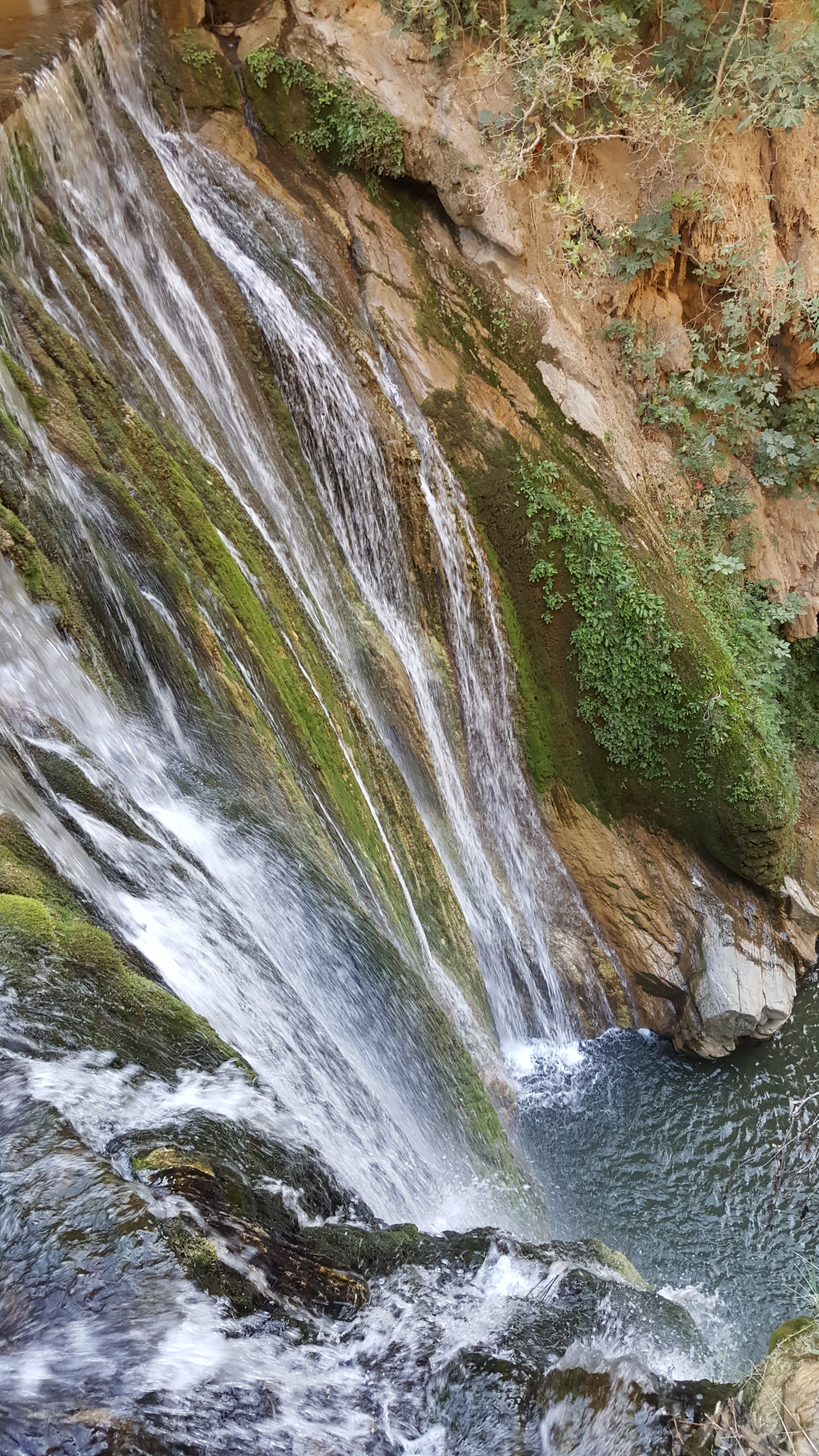 20171006_161343.jpg