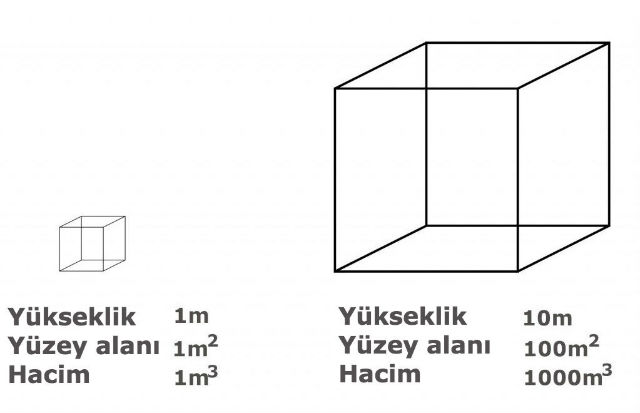 Bir_insanin_boyu_en_06-min.jpg