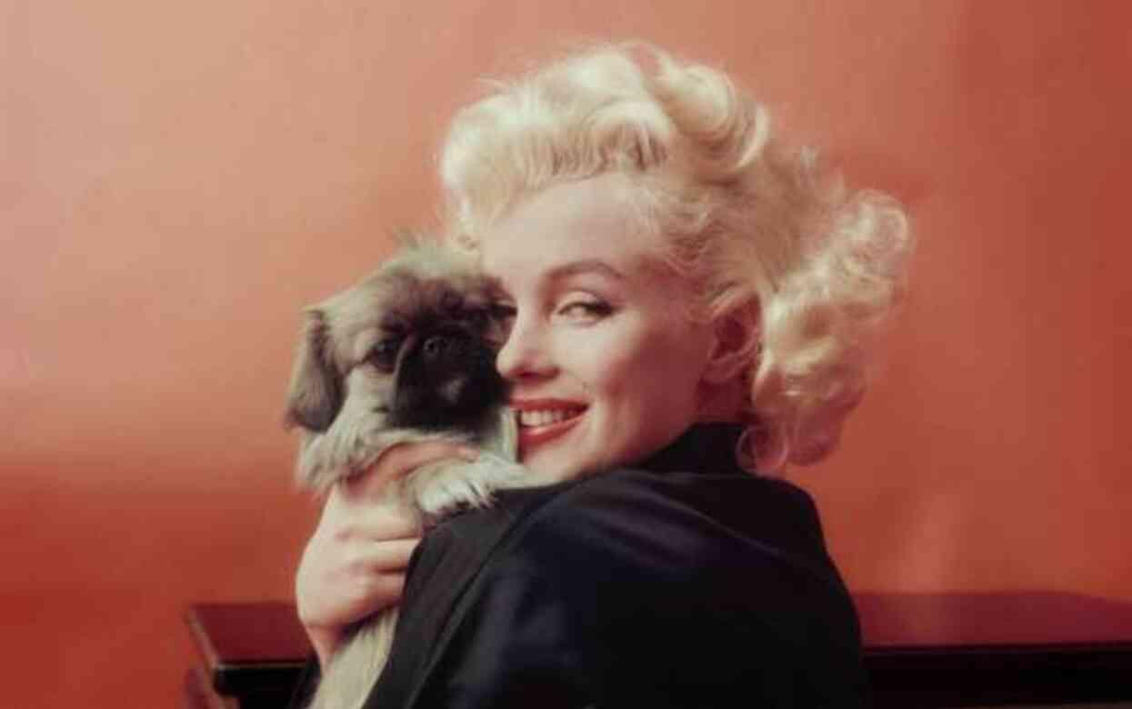 Marilyn Monroe ve Hugh Hefner'in yakınındaki mezar açık artırmayla satışa çıkıyor Marilyn Monroe ve Hugh Hefner'in yakınındaki mezar açık artırmayla satışa çıkıyor