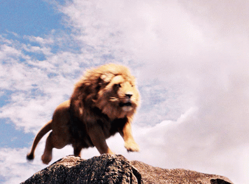 Aslan Roar GIF – Aslan Roar Lion – GIFs entdecken und teilen | Aslan  narnia, Lion pictures, Narnia
