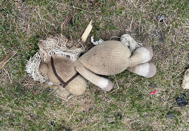 A child's toy lies in the grounds of the burned-out family home