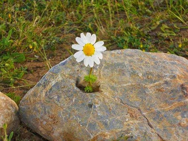 30. Trouvaille, Fransızca 30. Trouvaille, Fransızca