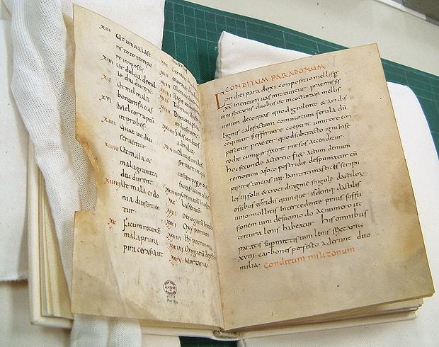 Milattan sonra ilk birkaç yüzyılda yazılan ve Latince hazırlanan Apicius adlı yemek kitabı, dönemin mutfak kültürüne dair önemli bir kaynaktır.