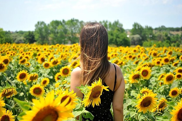 29. Querencia, İspanyolca 29. Querencia, İspanyolca