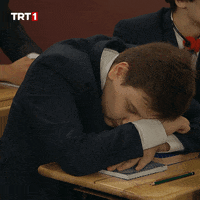 Wake Up Morning GIF by TRT