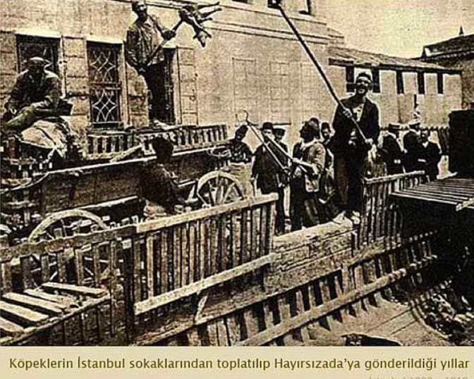 1910%20(10).jpg