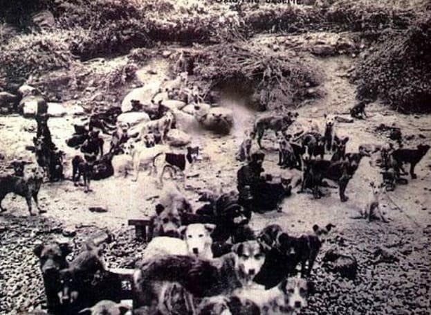 1910%20(4).jpg