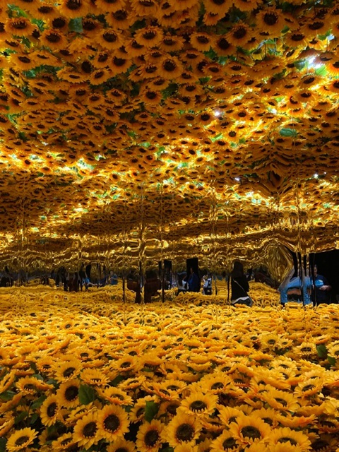 Sunflower-Room.jpg